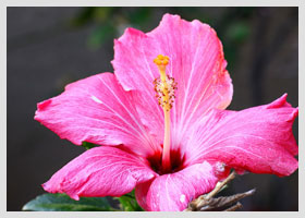 5 porannych nawyków z kotem, które zmienią Twój dzień