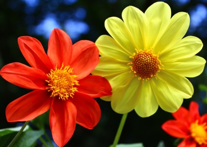 Jak odkryłam aktywność fizyczną i znalazłam zawody dla amatorów